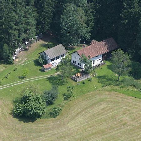 Pension Am Waldesrand Regen Exteriér fotografie