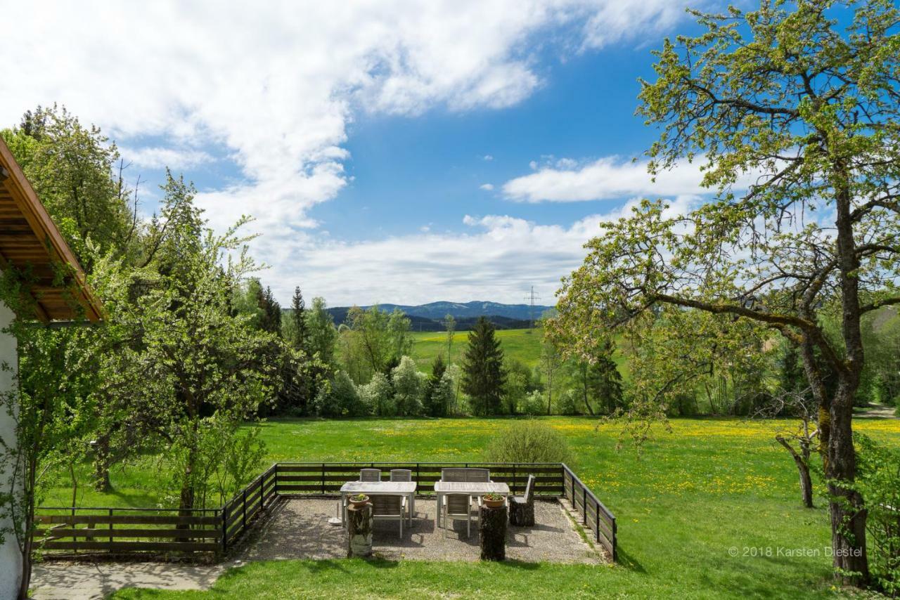 Pension Am Waldesrand Regen Exteriér fotografie